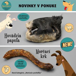 Novinky pre vašich psíkov sú tu! 🐕✨ Nájdete ich už teraz na našom e-shope! 🛒🐾